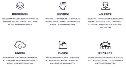 軟件開發外包服務 定義、模式、優勢與選擇指南